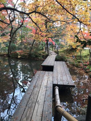 天授庵の参拝記録(ルルさん)