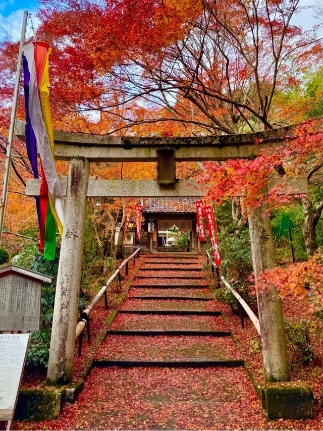 双林院（山科聖天）の参拝記録6
