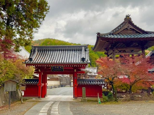 本圀寺の参拝記録1