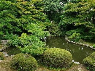 牛皮山 隨心院(随心院)の参拝記録(すみれさん)