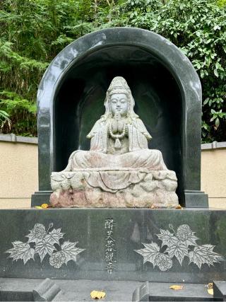 大乗寺の参拝記録(さくらさん)