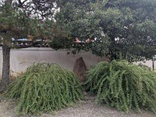 大聖寺の参拝記録(くまたろうさん)