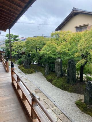 浄篤院の参拝記録(フタバアオイさん)