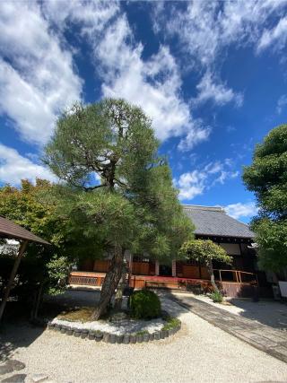 弘誓寺の参拝記録(さくらさん)