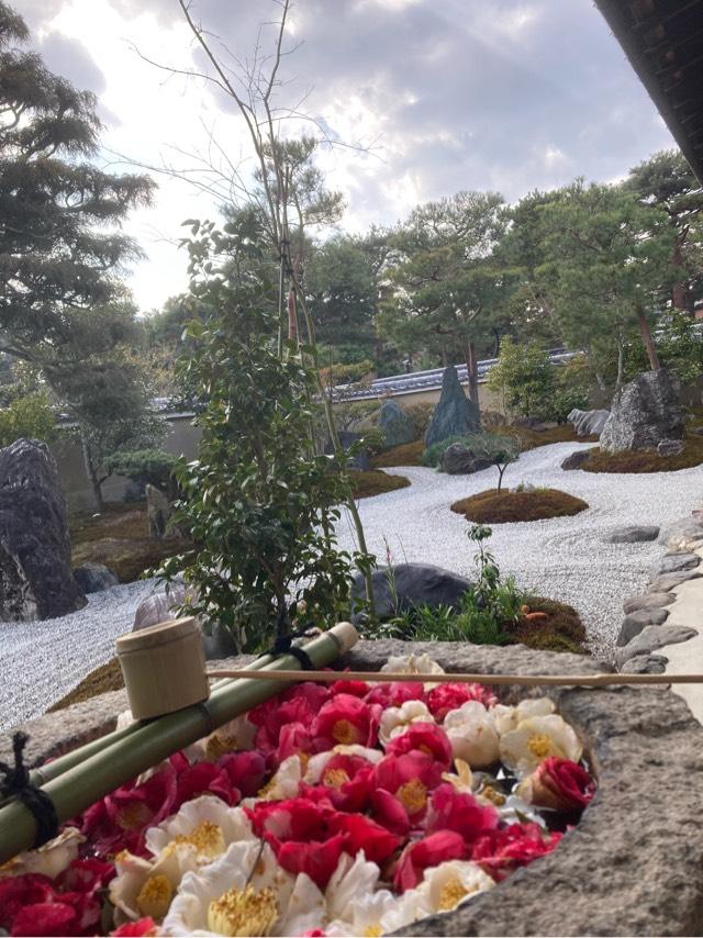 京都府京都市上京区今出川通鳥丸東入相国寺門前町701 光源院の写真1