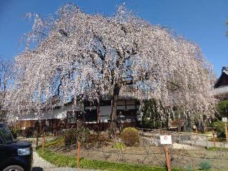 本満寺の参拝記録(くまたろうさん)