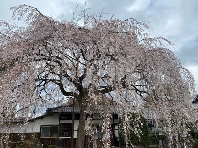 本満寺の参拝記録5