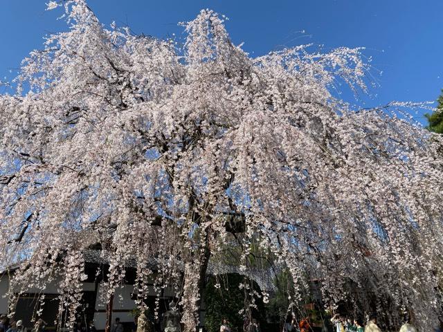 本満寺の参拝記録1