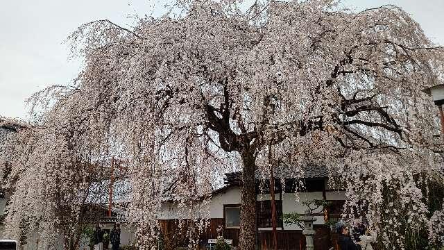 本満寺の参拝記録6