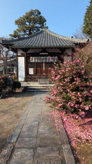 本満寺の参拝記録(たこやきさん)