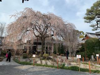 本満寺の参拝記録(まりもさん)