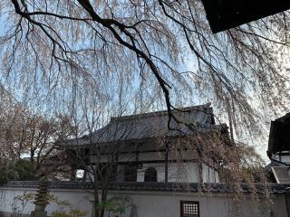 本満寺の参拝記録(まりもさん)