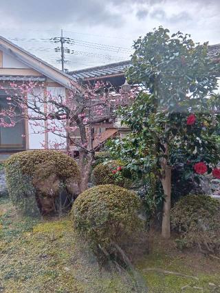 華光寺の参拝記録(にるぼんさん)