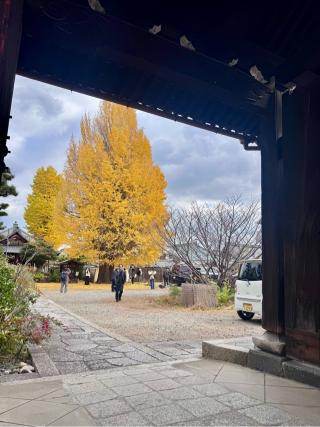 慧光寺の参拝記録(さくらさん)