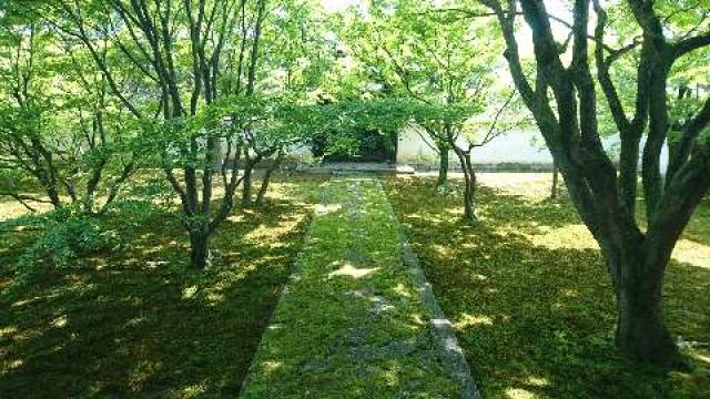 京都府京都市上京区新町通鞍馬口下る下清蔵口町135 妙覚寺の写真3