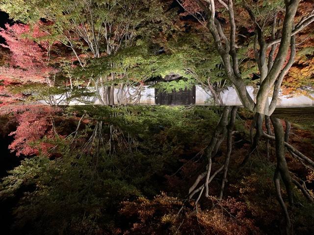 妙覚寺の参拝記録10