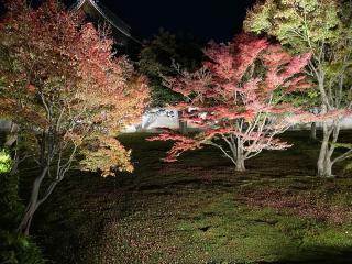 妙覚寺の参拝記録(ルルさん)