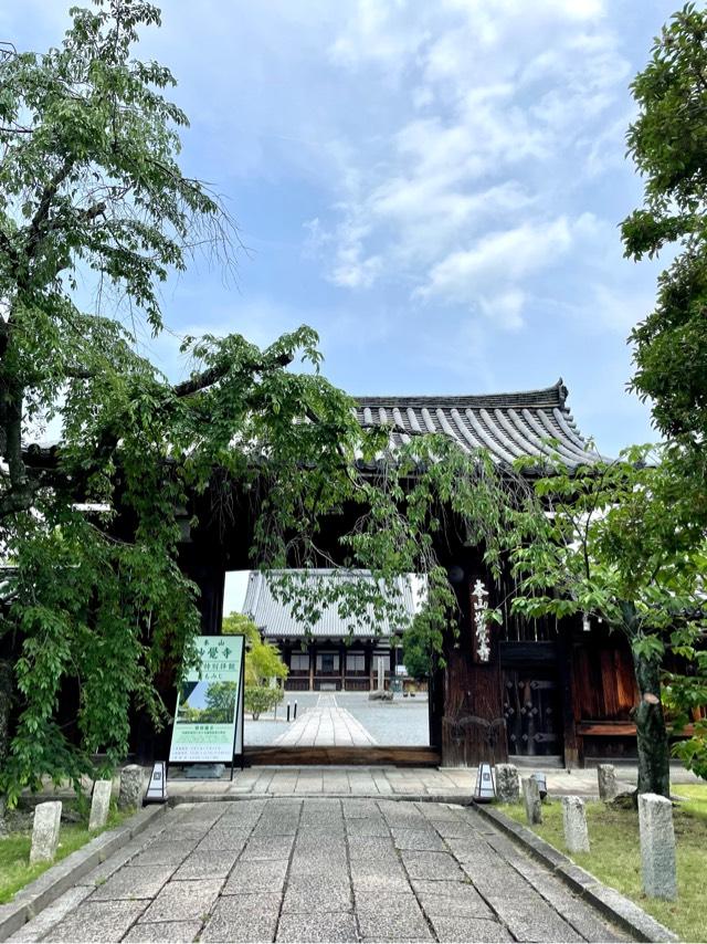 妙覚寺の参拝記録7