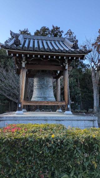 萬年山 相国承天禅寺(相国寺)の参拝記録(たこやきさん)