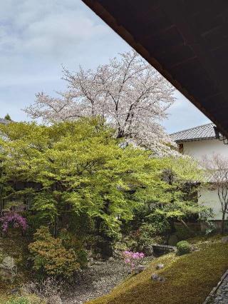 萬年山 相国承天禅寺(相国寺)の参拝記録(気分は上昇さん)