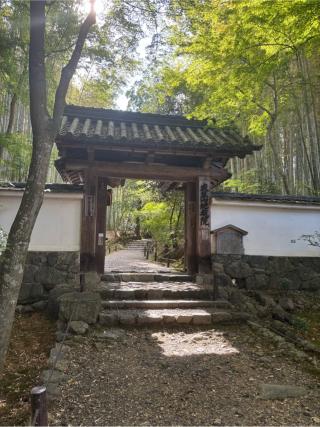 地蔵院(竹の寺)の参拝記録(シロシロさん)