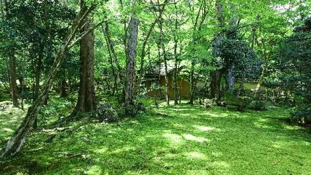 西芳寺(苔寺)の参拝記録2