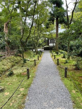 西芳寺(苔寺)の参拝記録(はちさん)