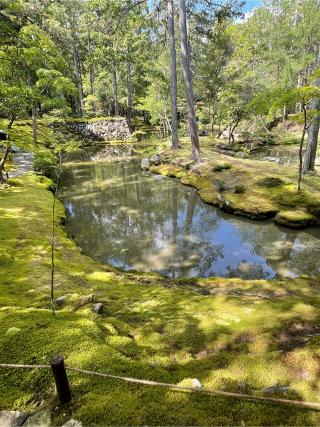 西芳寺(苔寺)の参拝記録(はちさん)