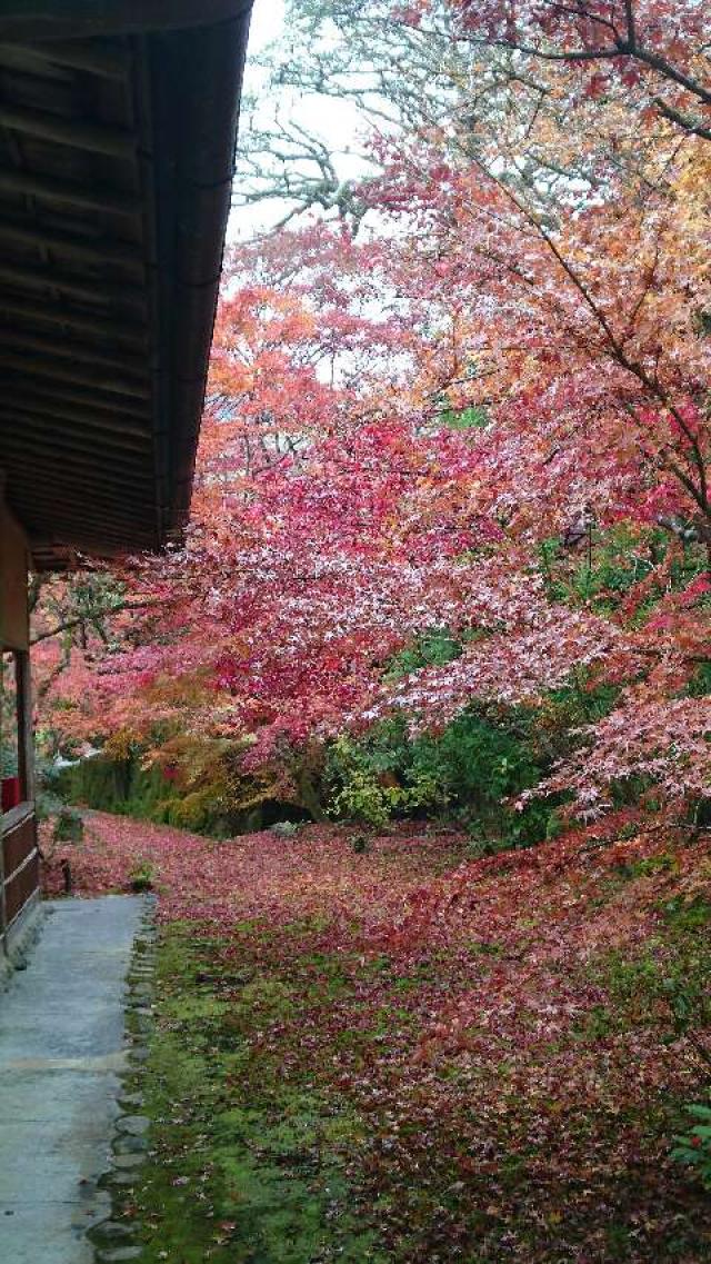 西芳寺(苔寺)の参拝記録1