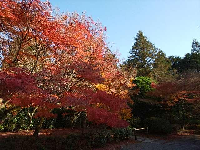 西芳寺(苔寺)の参拝記録7