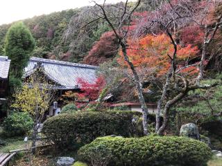 金蔵寺の参拝記録(A.Yさん)