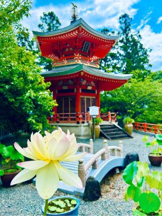 法寿山 正法寺の参拝記録(ふうりんパパさん)