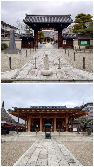 壬生寺の参拝記録(童子切安綱さん)