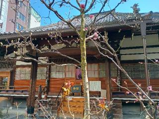 瑞泉寺の参拝記録(監督まっちゃんさん)