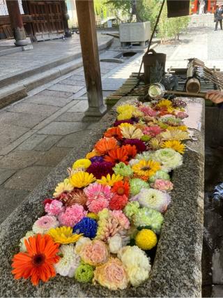 紫雲山 頂法寺（六角堂）（西国第十八番）の参拝記録(senwayさん)