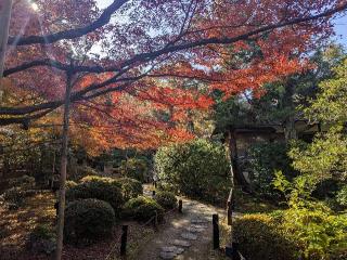 青蓮院門跡の参拝記録(くまたろうさん)