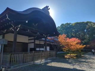 青蓮院門跡の参拝記録(くまたろうさん)