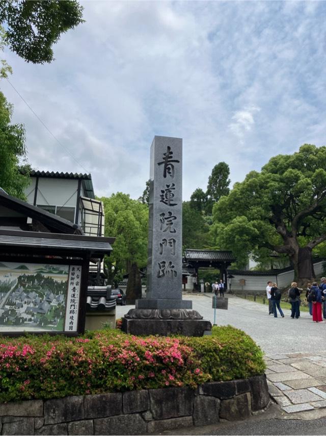 青蓮院門跡の参拝記録7