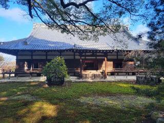 青蓮院門跡の参拝記録(にゃんこさん)