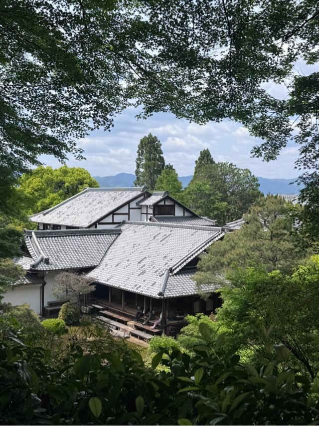 青蓮院門跡の参拝記録6
