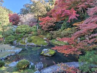 青蓮院門跡の参拝記録(まっつんさん)
