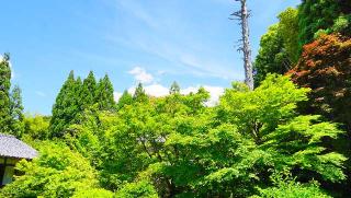 雲龍院の参拝記録(布袋大国さん)
