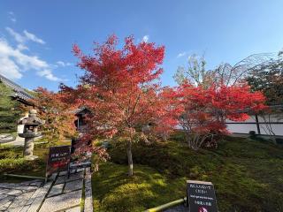 西来院の参拝記録(いけさん)