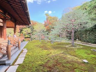 建仁寺塔頭 両足院の参拝記録(いけさん)