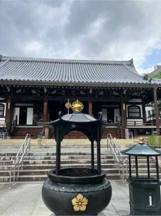 五百佛山 根来寺 智積院の参拝記録(senwayさん)