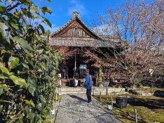 勝林寺の参拝記録(くまたろうさん)