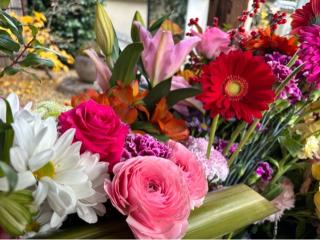 勝林寺の参拝記録(忍さん)