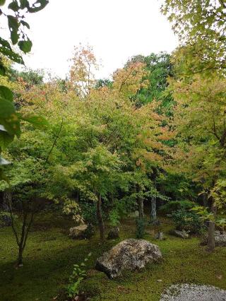 勝林寺の参拝記録(うさこさん)