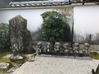 霊雲院の参拝記録(よっしぃさん)