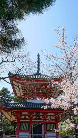 華頂山 知恩院の参拝記録(布袋大国さん)